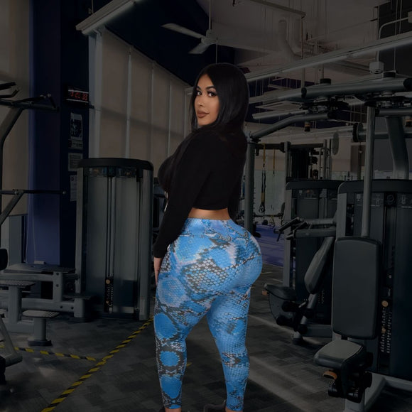 BOA - Blue Leggings Scrunch-Butt